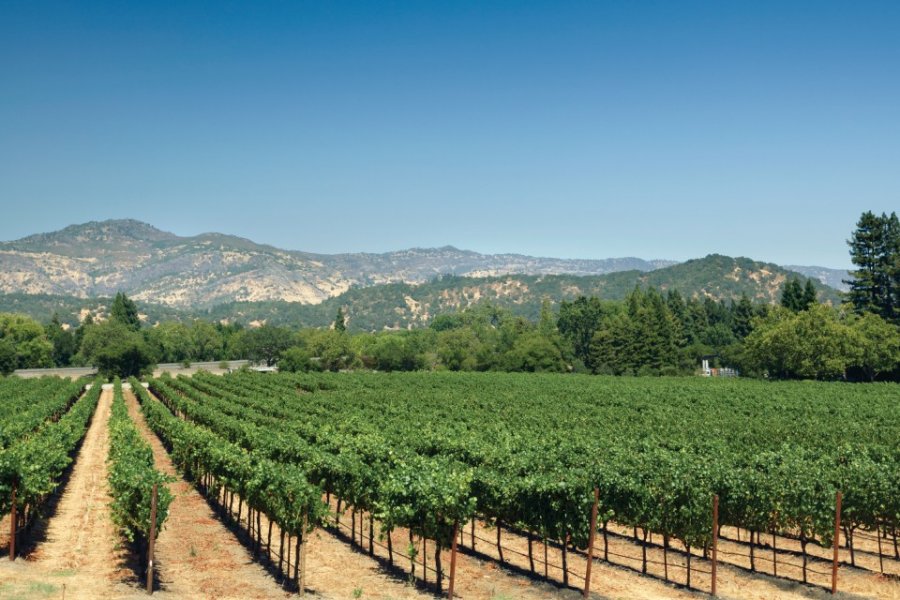 Yountville. Marcus Lindstrom - iStockphoto