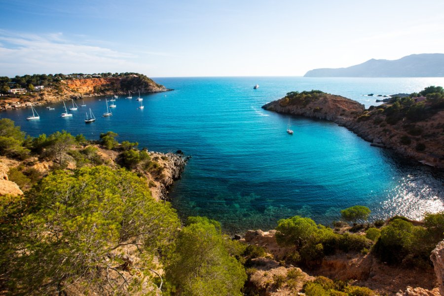 Porroig. lunamarina - iStockphoto.com