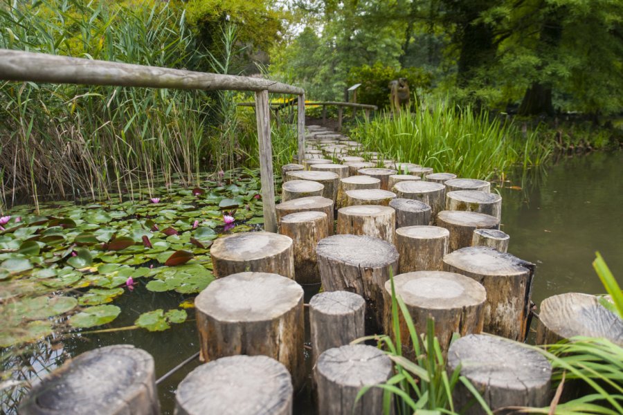 Arboretum de Volcji Potok. Matic Stojs - Shutterstock.com