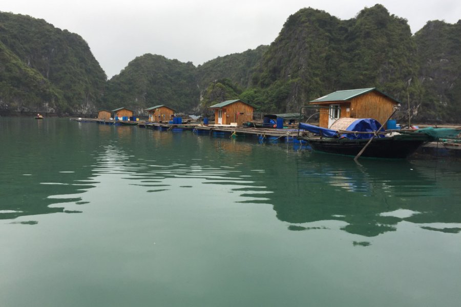 Village de pêcheurs dans la Baie d'ha Long. Dominique AUZIAS
