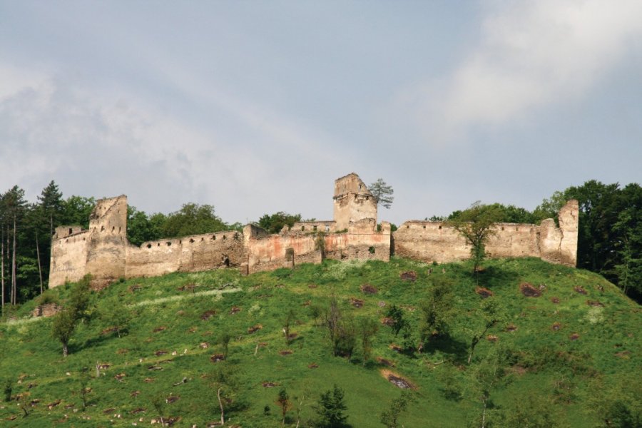La citadelle de Saschiz en restauration grâce aux actions de la région pour la sauvegarde de son patrimoine historique. Stéphan SZEREMETA