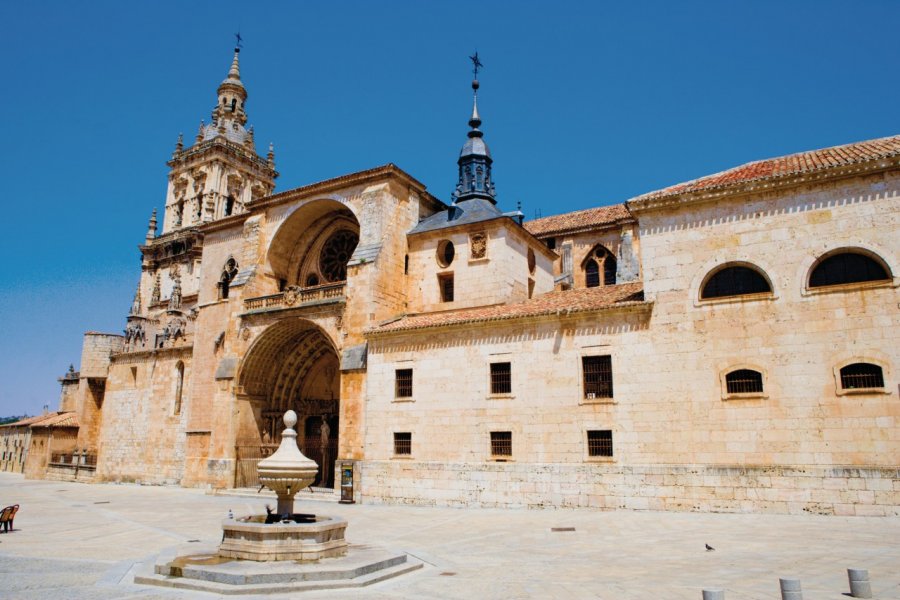 Cathédrale d'El Burgo de Osma. Author's Image