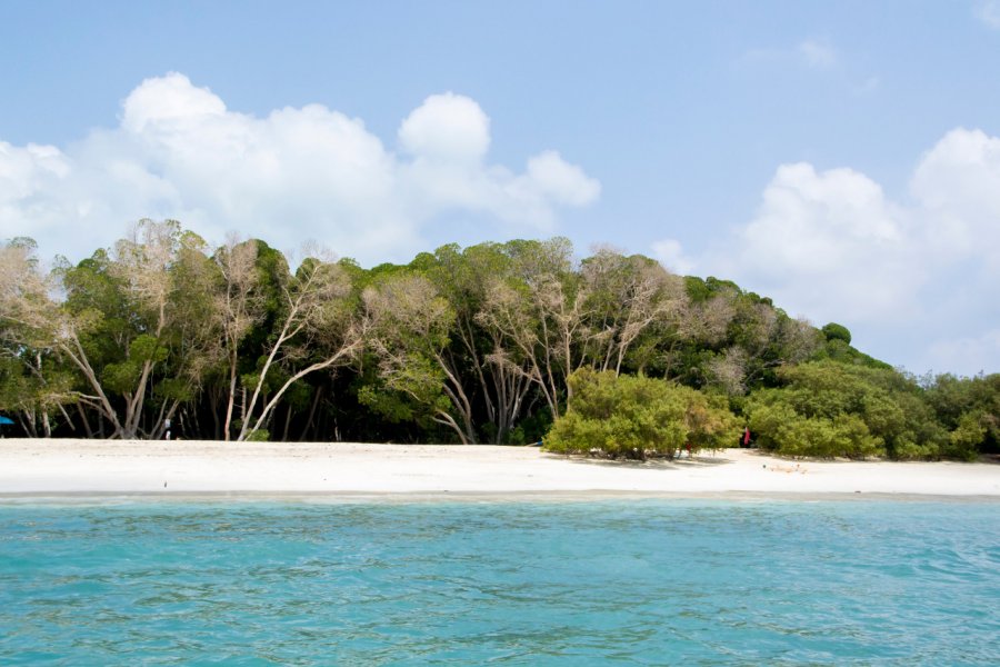 Mangroves sur les îles Musha - Maskali. Hiren Ranpara - Shutterstock.com