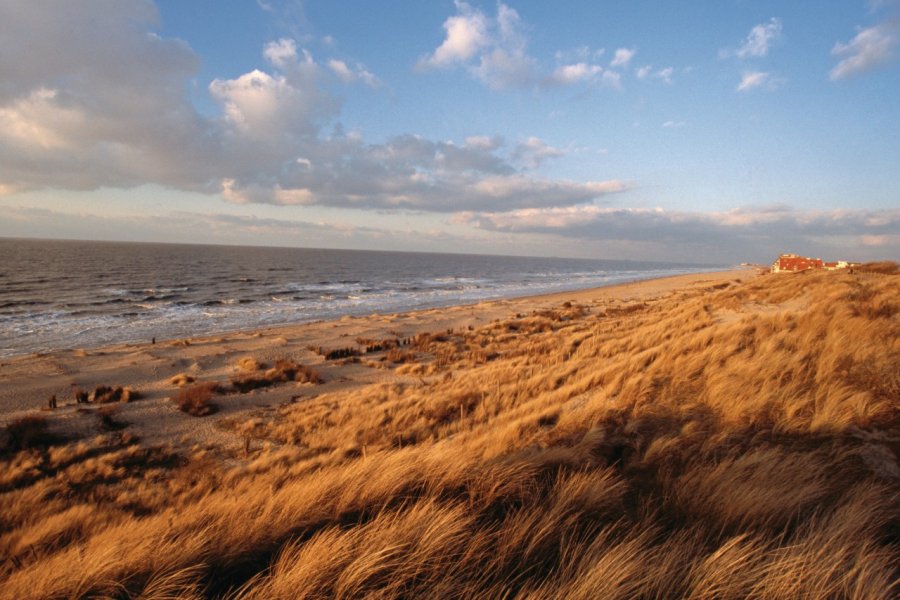 Mer du Nord. Author's Image