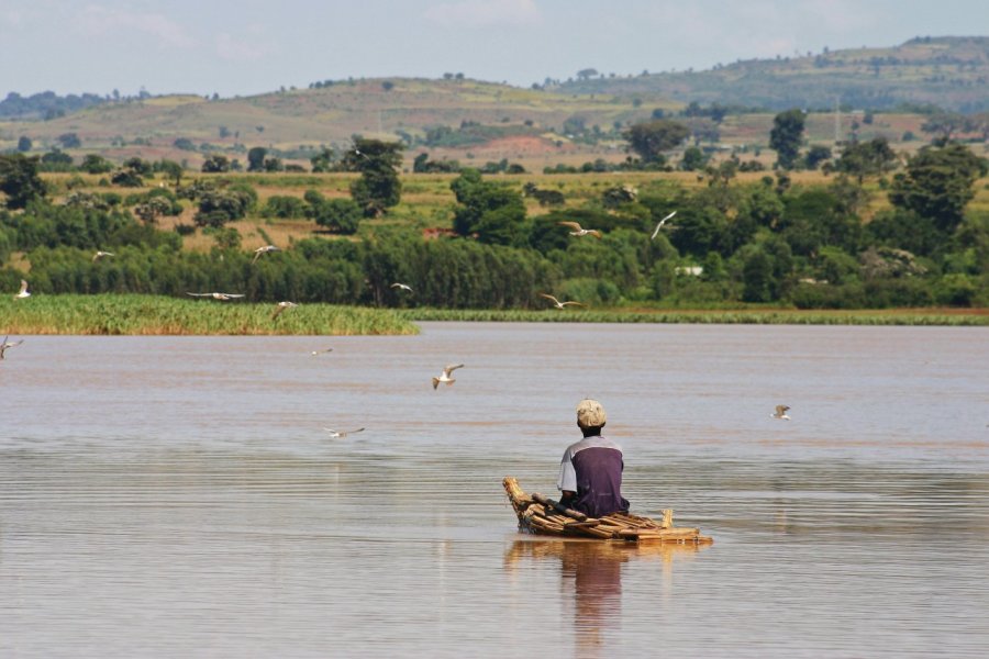 Lac Tana. BremecR - iStockphoto