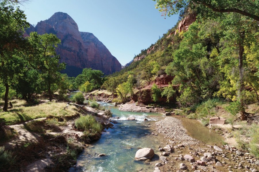 Zion National Park. David GUERSAN - Author's Image