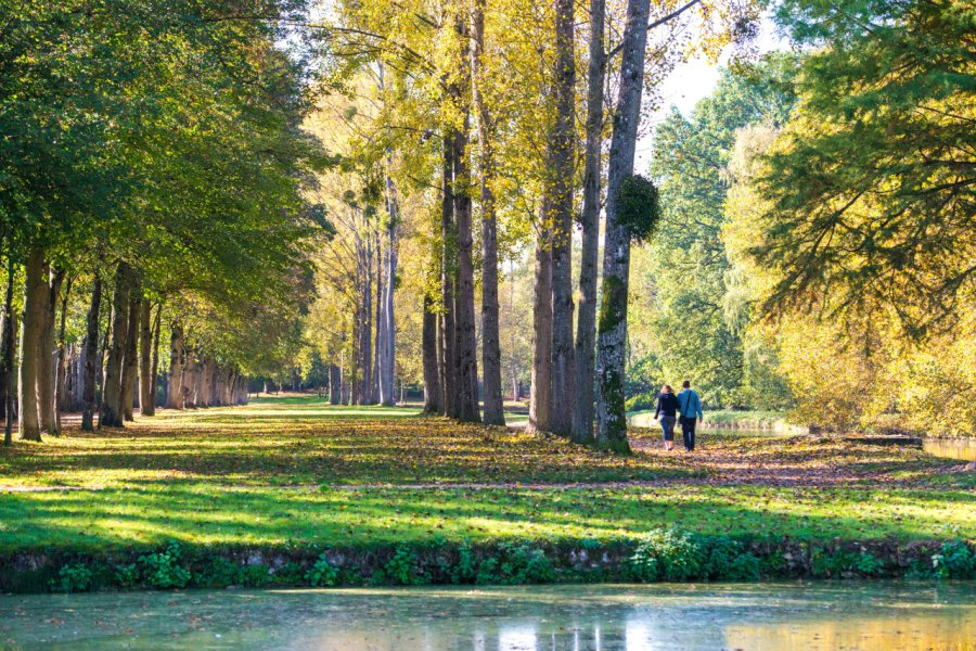 Forêt de Rambouillet. AlcelVision - stock.adobe.com