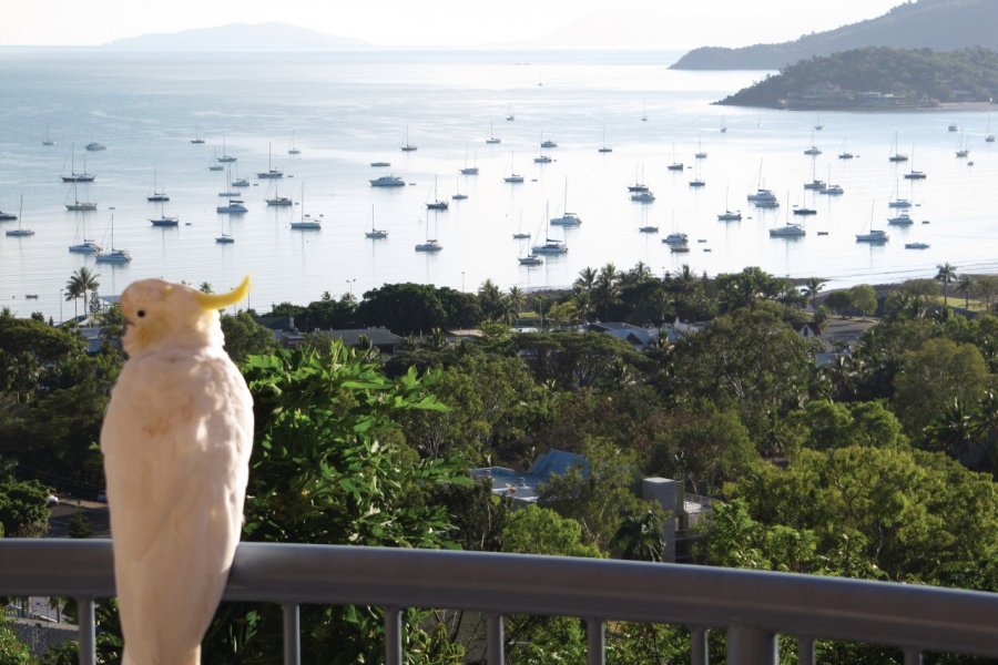 Airlie Beach, Australie. Happygosnappy - iStockphoto