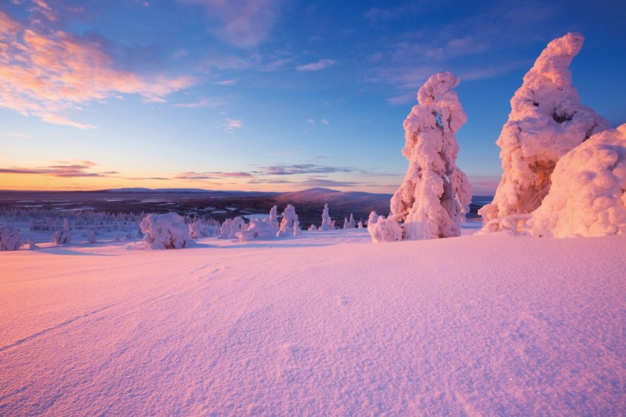 Paysage enneigé de la Laponie finlandaise, Kittilä. Sara Winter - iStockphoto
