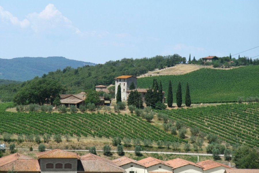 Gaiole in Chianti. PRILL / Shutterstock.com