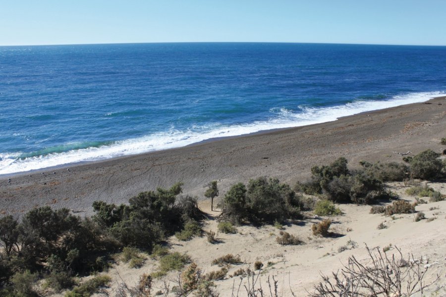 Punta Norte, au nord de la péninsule Valdés. Pierre-Yves SOUCHET