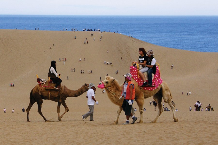 Dunes de Tottori avec ses dromadaires. Maxime Dray