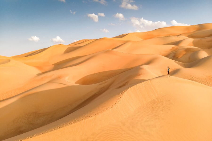 Désert de Liwa. Katiekk - Shutterstock.com