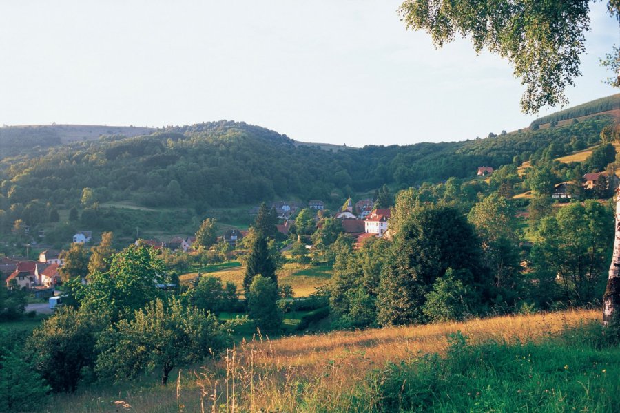 Les alentours de Waldersbach. (© S. NICOLAS - ICONOTEC))