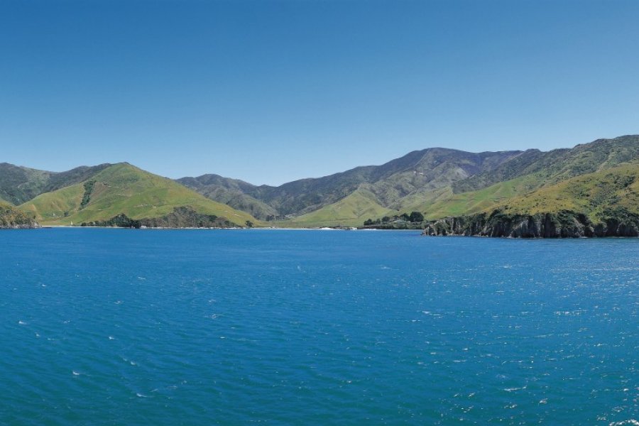 Entre Ile du Sud et Ile du Nord, arrivée à Nelson Joséphine - Iconotec