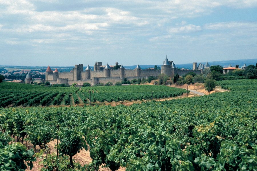 Carcassonne et son vignoble. HERVÉ DE MESTIER - ICONOTEC.COM