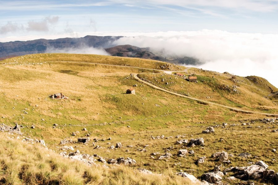 Hauts Plateaux du Cansiglio. Stephenfalken - iStockphoto