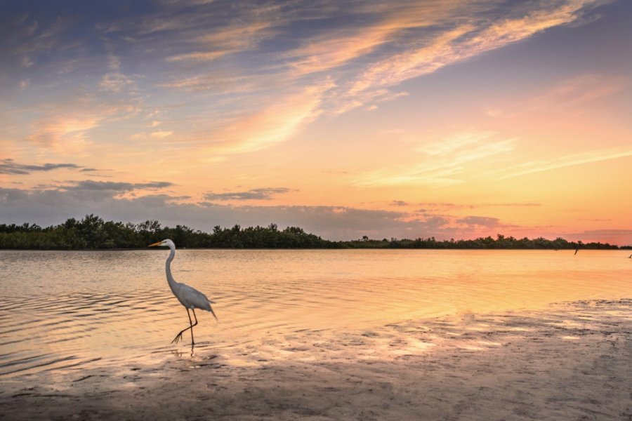 Marco Island. Monainshanghai - iStockphoto