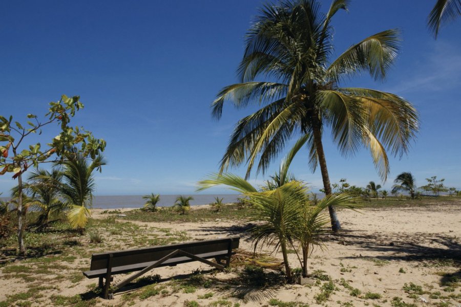 Littoral guyanais. Amskad - Fotolia