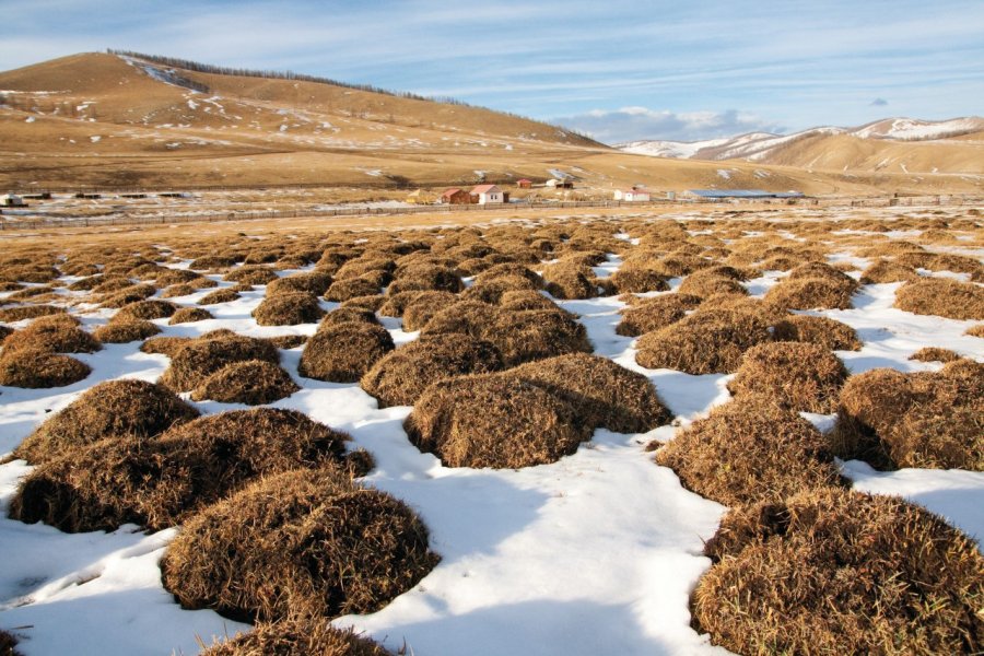 Steppe à proximité des sources d'eau chaude de Tsenkher. Maxence Gorréguès