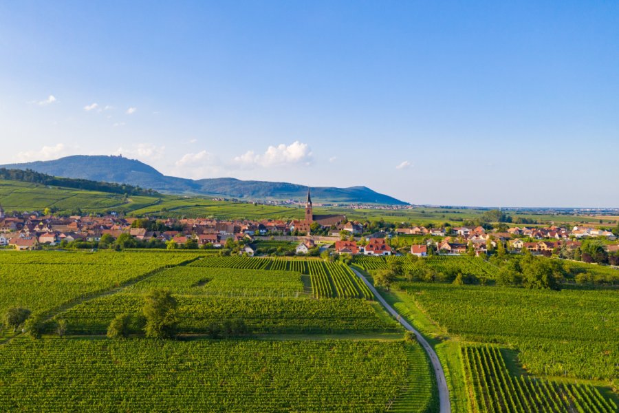 Bergheim et son vignoble. Quentin - stock.adobe.com