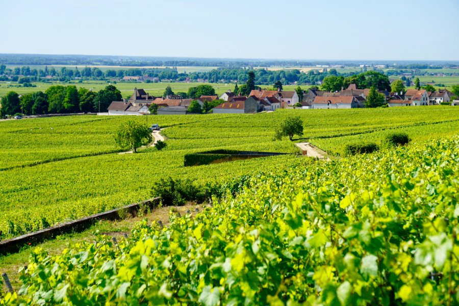Le village d'Aloxe-Corton entouré de vignes. Guillaume Garin - Shutterstock.com