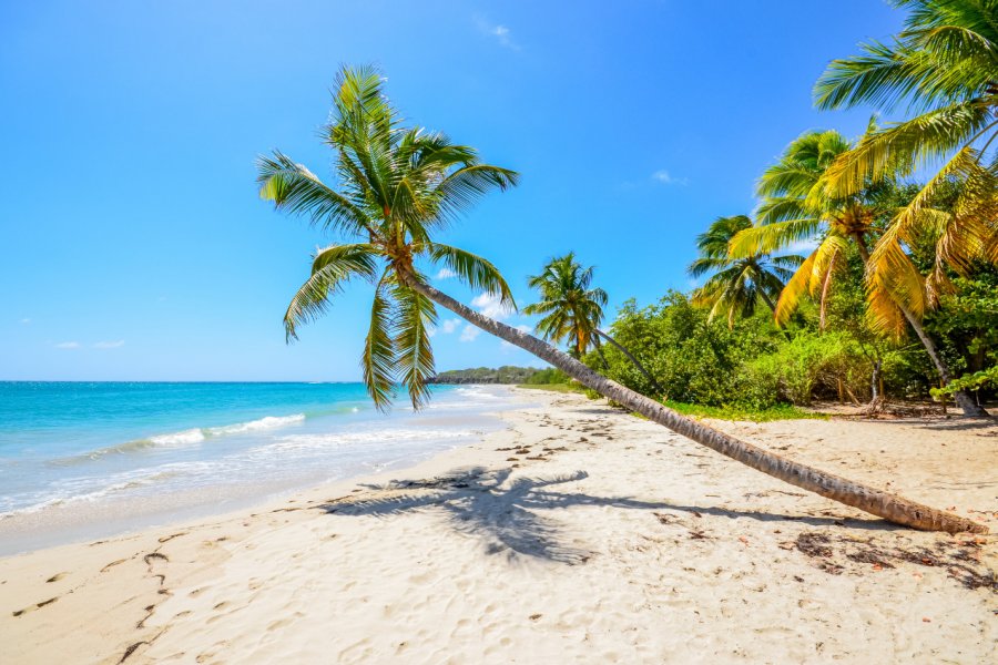 La plage du Diamant. Damien VERRIER - Shutterstock.com