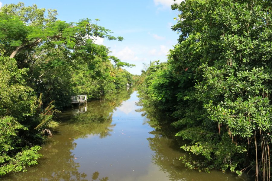 Canal des Retours Morne à l'Eau. Gilles MOREL