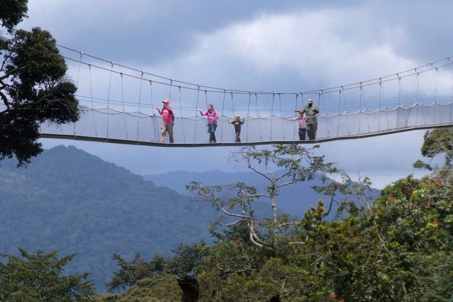 Pont suspendu dans la forêt de Nyungwe. François JANNE D'OTHEE