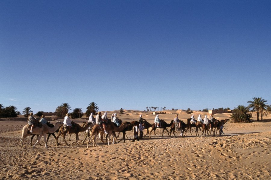 Caravane dans le désert de Zaafrane. Author's Image