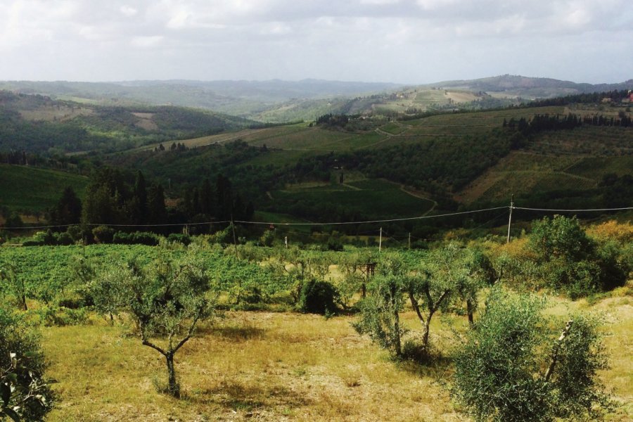 Le calme de la campagne toscane, près de Greve in Chianti. Muriel PARENT