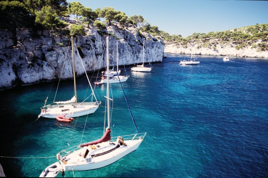 Dans la calanque de Port-Miou - Cassis VINCENT FORMICA