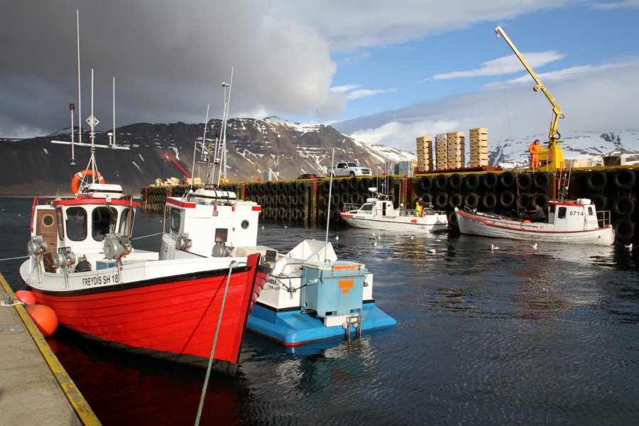 Le port de Grundarfjordur. Stéphan SZEREMETA