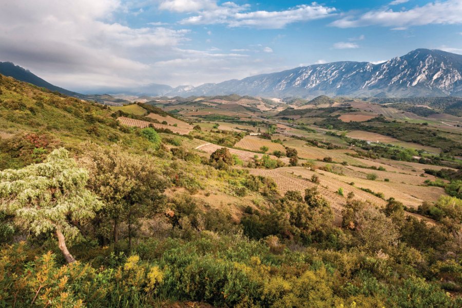 La vallée de l'Agly, dans les environs de Maury. Laurent Pierson