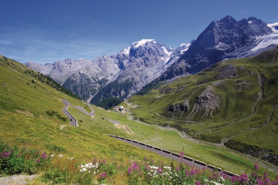 Parco Nazionale dello Stelvio. LianeM - Fotolia