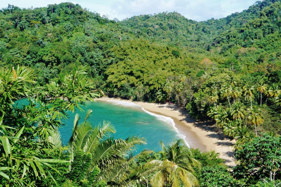 Englishman bay. otorongo - Shutterstock.com