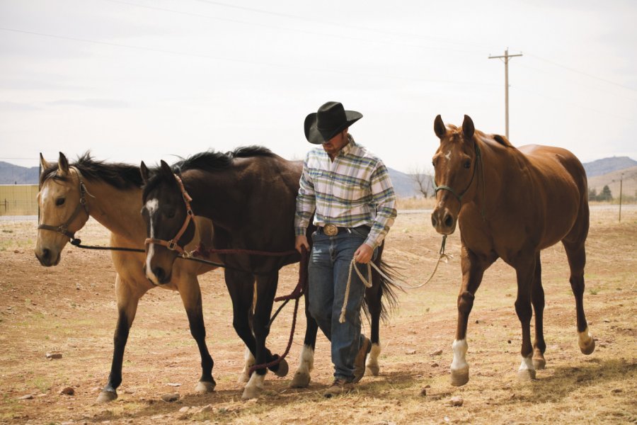 Cow-boy d'Alpine. Texas Tourism / Kenny Braun