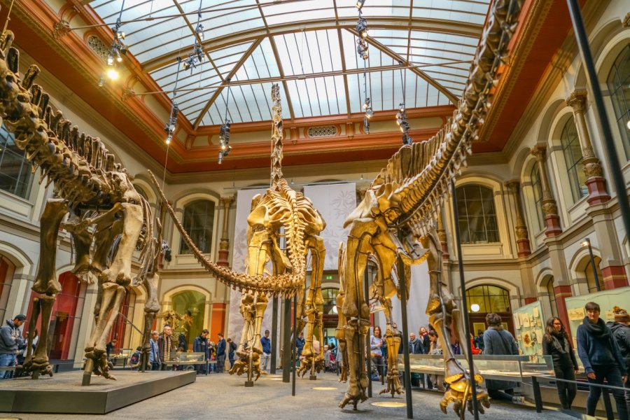 Le musée d'histoire naturelle. Ugis Riba - Shutterstock.com