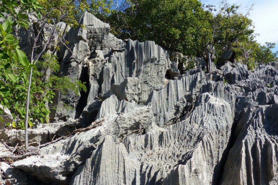 Formations rocheuses près de Labadie. Lflorot - Shutterstock.com