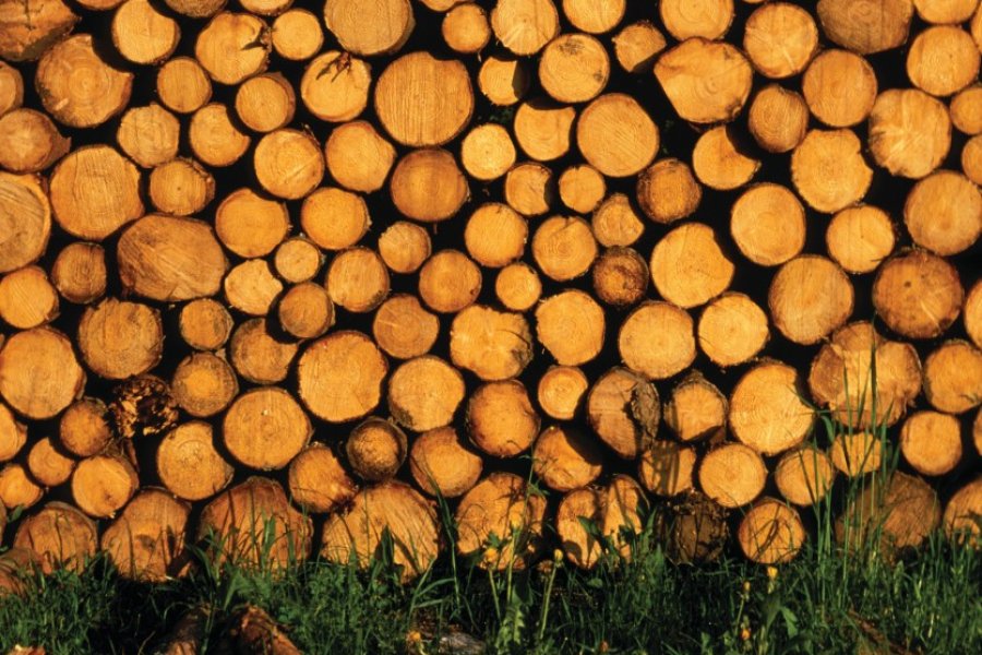 Stère de bois (© PIERRE DELAGUÉRARD - ICONOTEC))