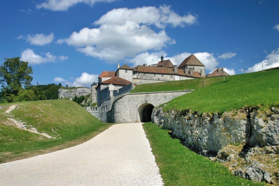 Le château de Joux. pixelpixel - stock.adobe.com