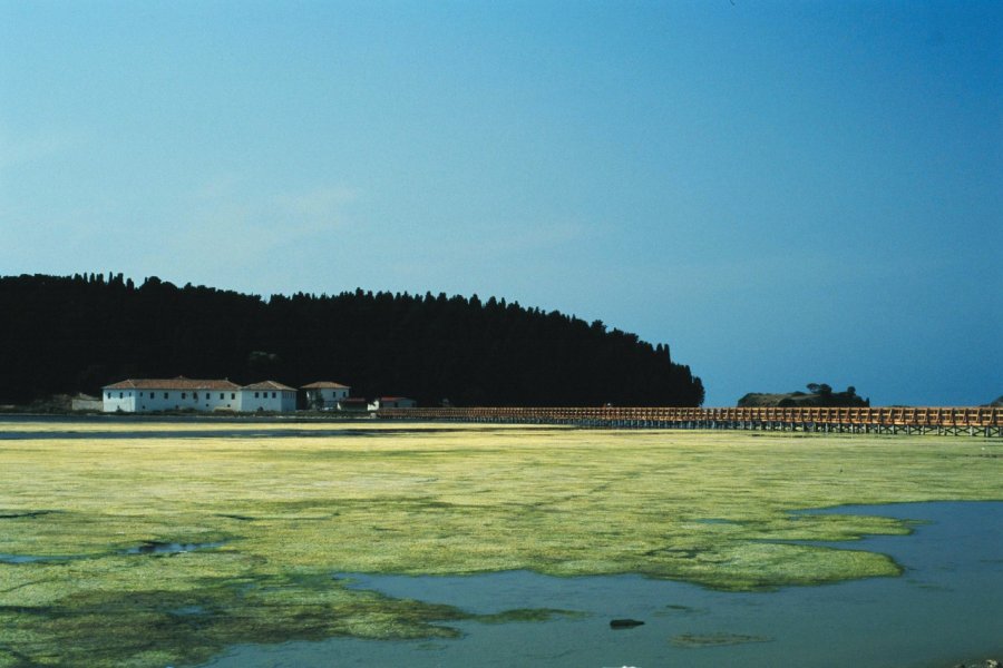 Monastère de Sainte-Marie. Julie Briard