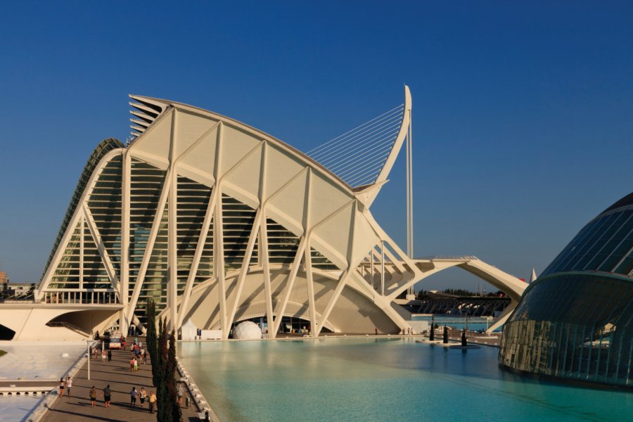 Le musée des Sciences Príncipe Felipe dessiné par l'architecte Santiago Calatrava. Philippe GUERSAN - Author's Image