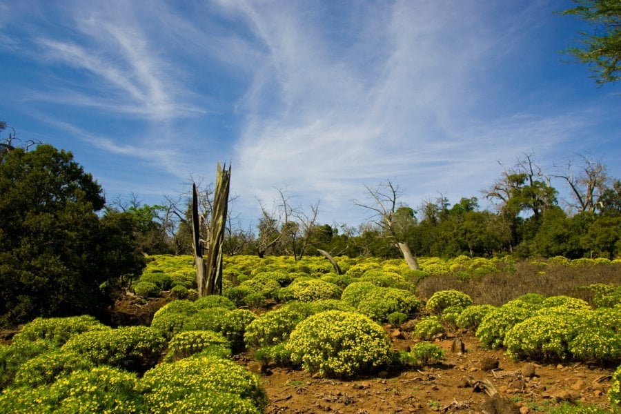 Parc national de la Forêt de Day. VUSPhotography.com - Shutterstock.com