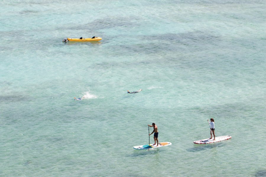 Dans l'eau ou à la surface, à chacun son activité préférée. Magali Couaillet