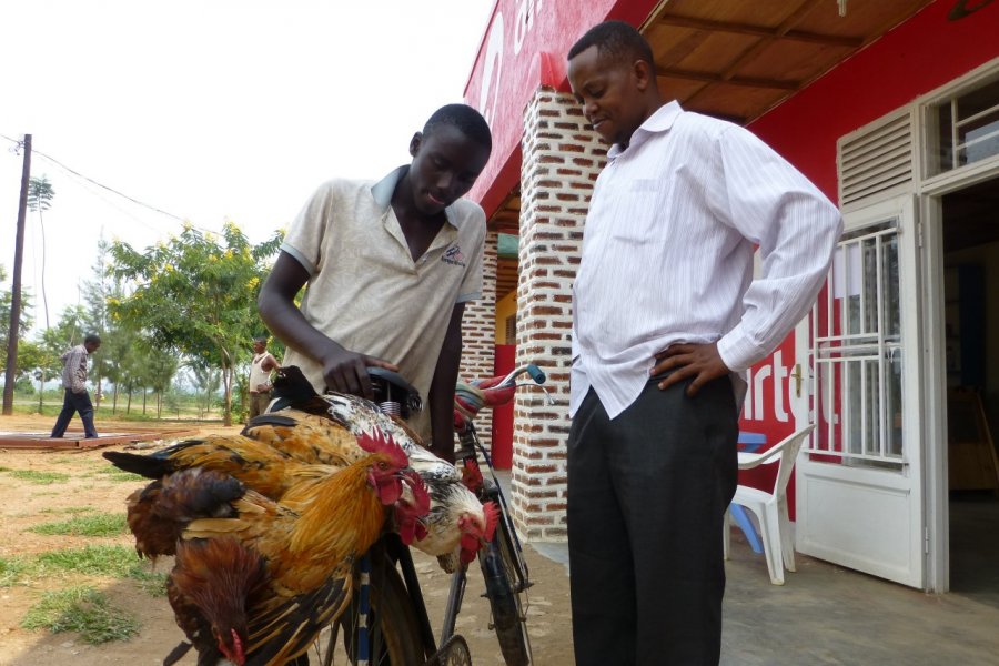 Vendeur de poules près de Nyamata. François JANNE D'OTHEE