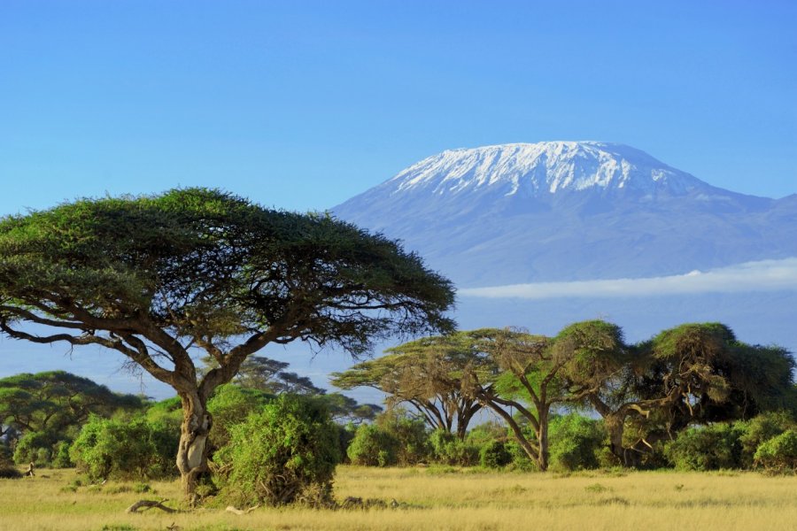 Kilimandjaro. Volodymyr Burdiak / Shutterstock.com