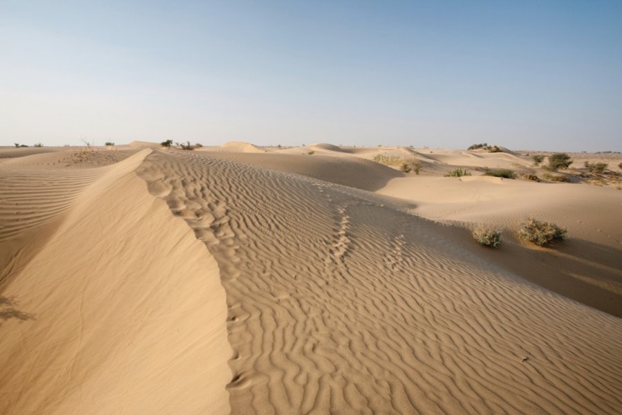 Dunes de Sam. Pius99 - iStockphoto