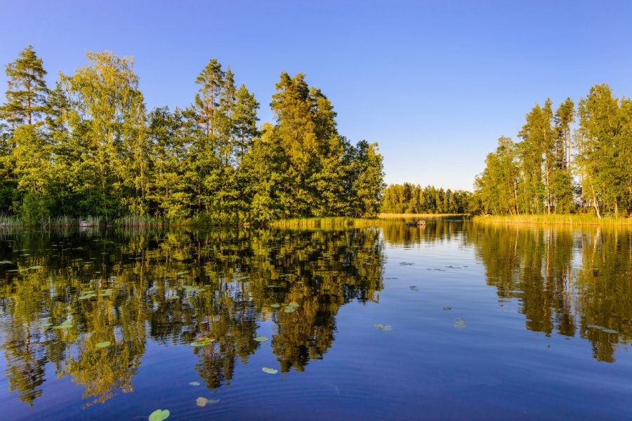Lac Haukivesi, Rantasalmi. A_Mikhail - Shutterstock.com