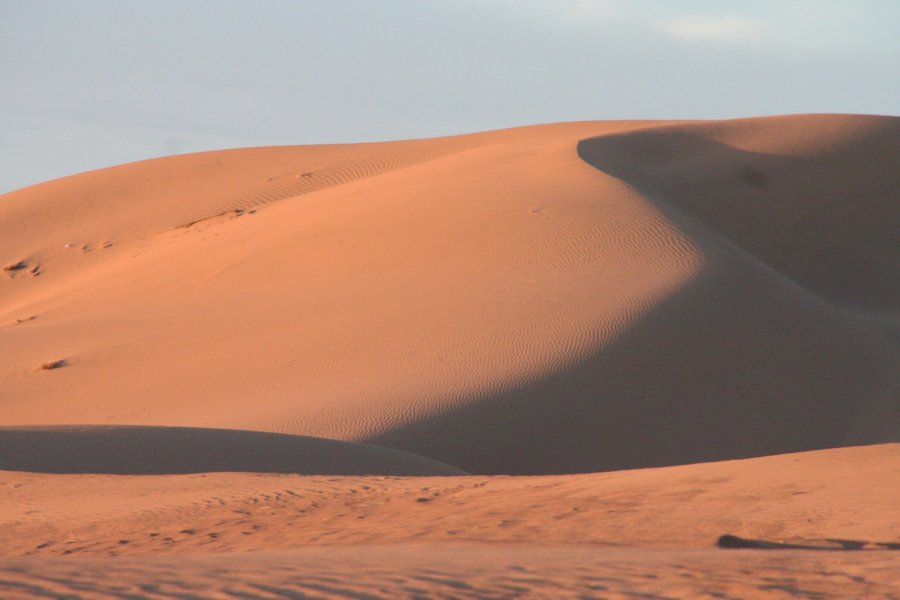 Lumière sur le sable des dunes de M'Hamid. Stéphan SZEREMETA